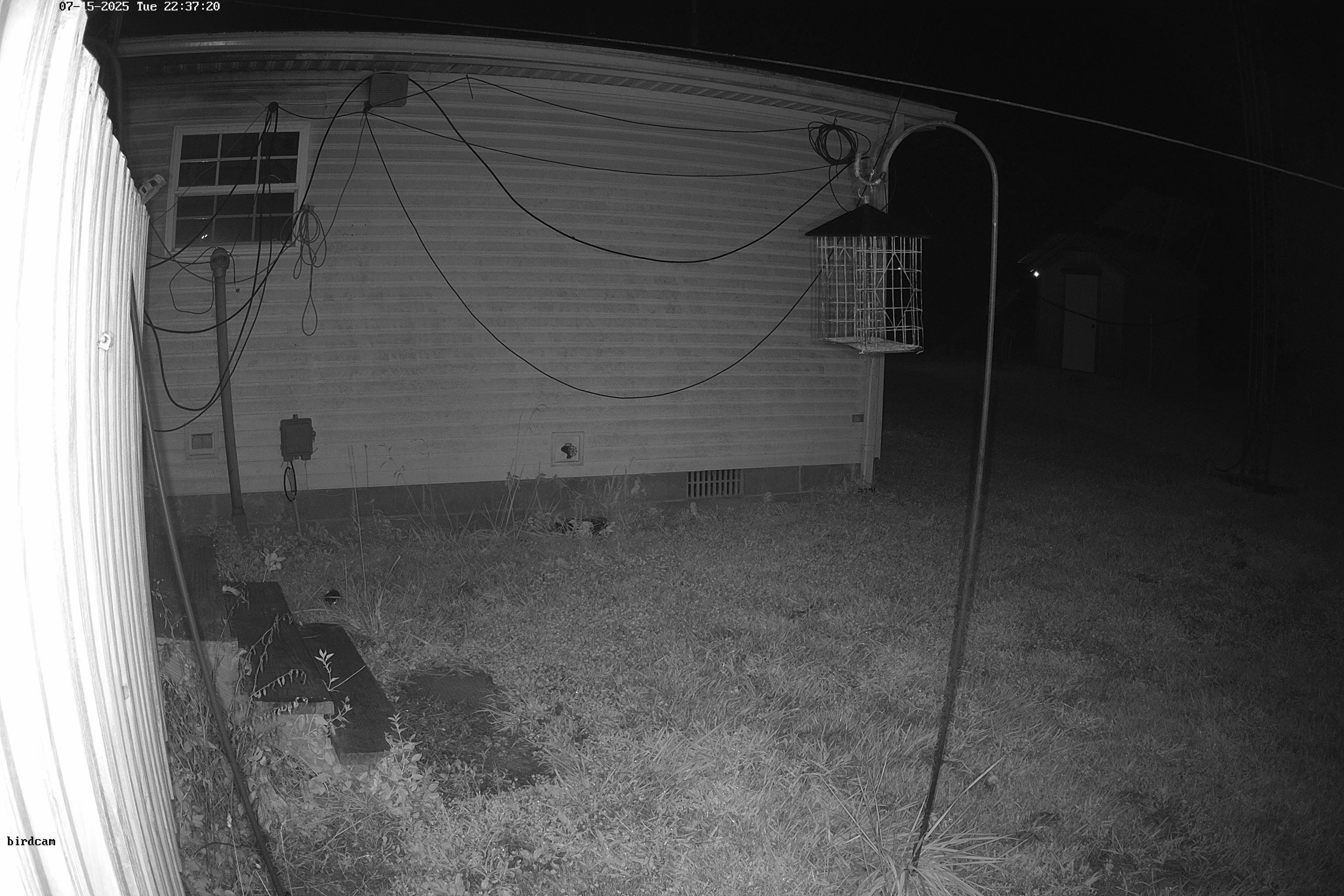 birdcam